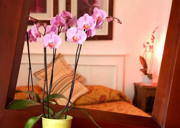 Castel De Siam Affittacamere Houlgate