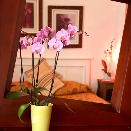 Castel De Siam 招待所 乌尔加特