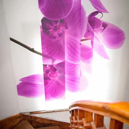 招待所 Castel De Siam