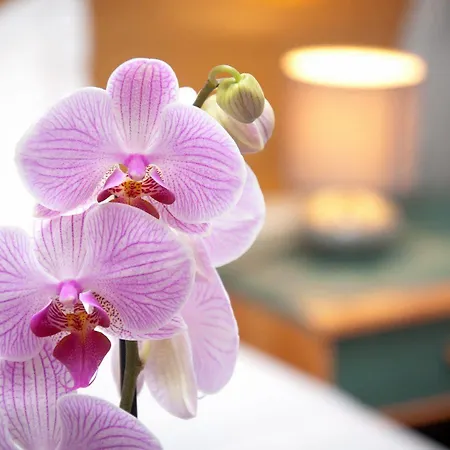 Castel De Siam 招待所