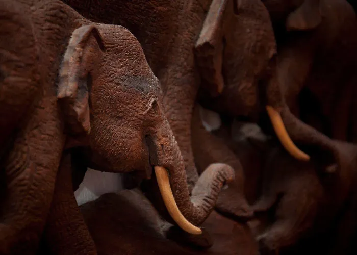 Castel De Siam Maison d'hôtes